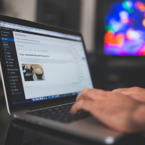 WordPress Development